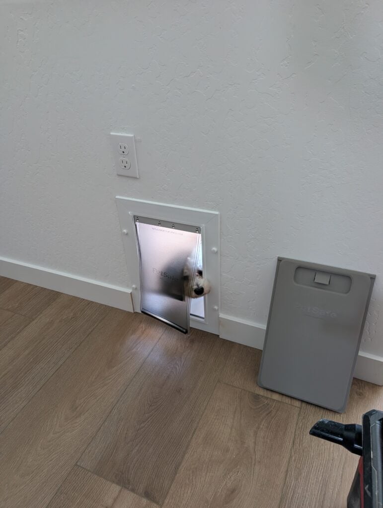 Dog Door Installation in Bakersfield — Bakersfield CA