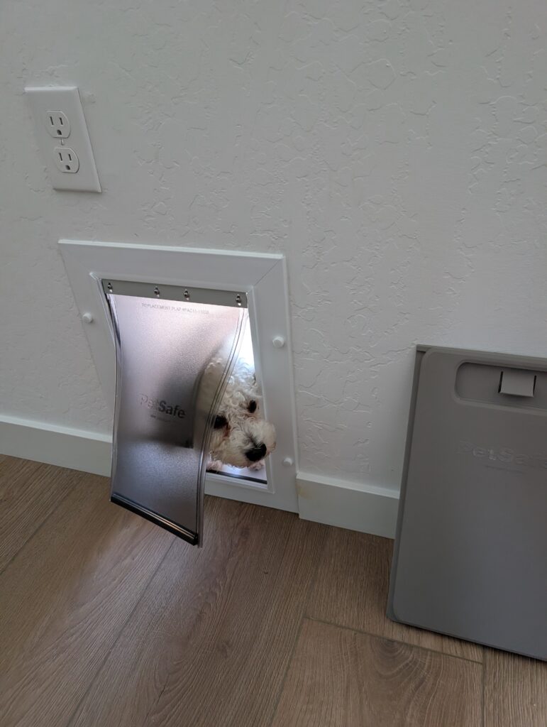 Dog Door Installation in Bakersfield — Bakersfield Handyman